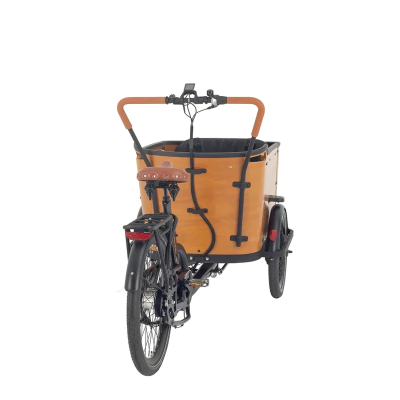 Aitour Cargo Bike - Family C 110Nm 630Wh Electric Cargo Bike Trike Wood-2